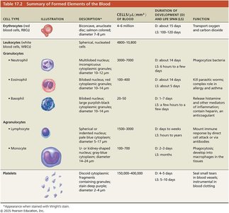 Summary table of formed elements