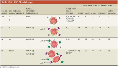ABO blood group table