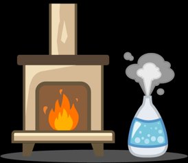 Paranasal sinuses in the skull
