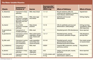 Water-soluble vitamins table