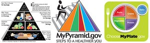 MyPlate food group proportions