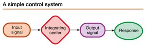 Diagram of a simple control system