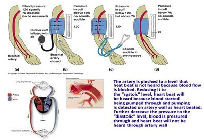 Table of hormone effects on blood pressure