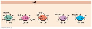 Monosaccharide structures