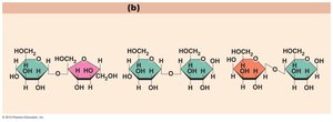 Disaccharide structures