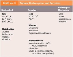 Table of substances reabsorbed and secreted in the nephron