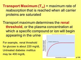 Transport maximum and renal threshold graph