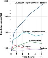Graph of hormone interaction effects on blood glucose