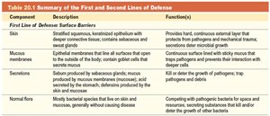 Summary table: First line of defense