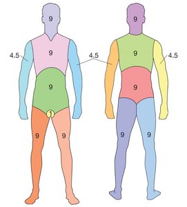 Rule of nines diagram for burn assessment