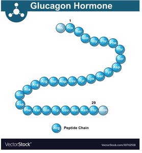 Mechanism of glucagon secretion from alpha cells