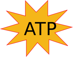 ATP energy source