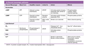 Second messenger pathways table.
