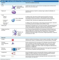 Cells and Molecules of the Adaptive Immune Response Table