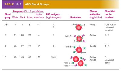 Table of ABO blood groups, antigens, antibodies, and compatibility
