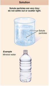 Solution: solute particles are very tiny, do not settle out or scatter light. Example: mineral water.