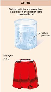 Colloid: solute particles are larger than in a solution and scatter light; do not settle out. Example: Jell-O.