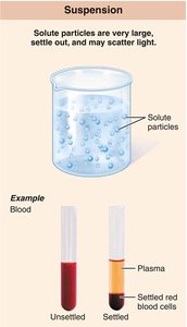 Suspension: solute particles are very large, settle out, and may scatter light. Example: blood.