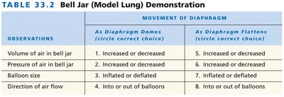 Bell jar model of lung