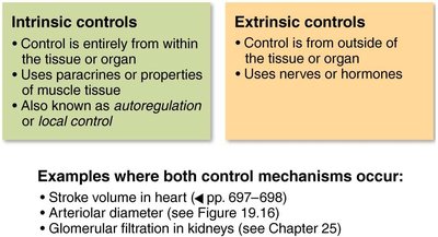 Summary of intrinsic and extrinsic controls