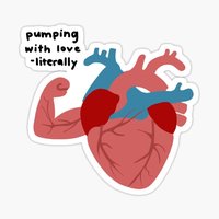 Diagram of blood flow and pressure gradient