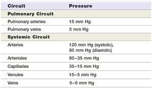 Table of blood pressures in different vessel types