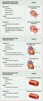 Diagram of long-term regulation of blood pressure by kidneys and hormones