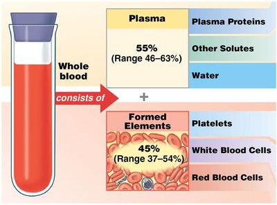 Whole blood composition: plasma and formed elements