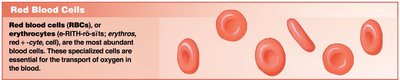 Red blood cells