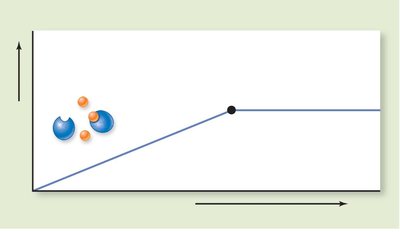 Graph showing effect of substrate concentration on enzyme activity
