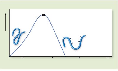Graph showing effect of temperature on enzyme activity