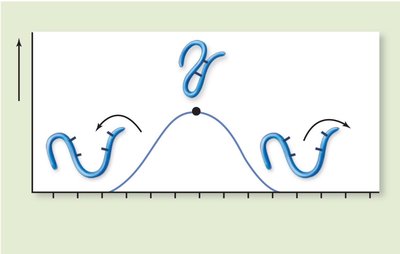 Graph showing effect of pH on enzyme activity