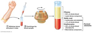 Blood sample centrifugation and components
