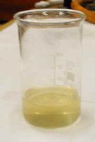 Sample of blood plasma in a beaker