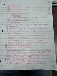 Handwritten notes on endocrine system overview and comparison with nervous system