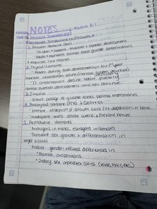 Handwritten notes on hormone regulation of growth and development
