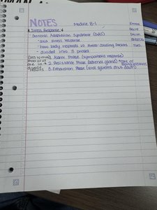 Handwritten notes on stress response and general adaptation syndrome