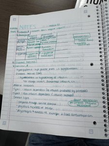 Handwritten notes on endocrine disorders and regulation
