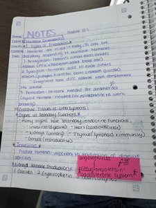 Handwritten notes on endocrine tissues and hormone functions