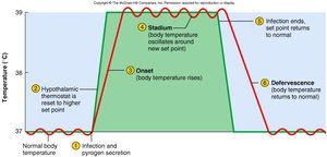 Phases of fever response
