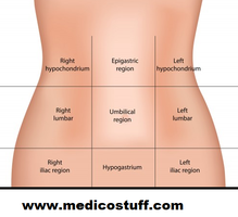 Diagram of nine abdominopelvic regions