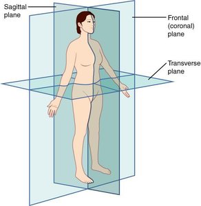 Body planes: sagittal, frontal, transverse