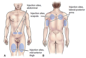 Subcutaneous injection sites on the body