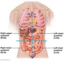 Abdominopelvic quadrants