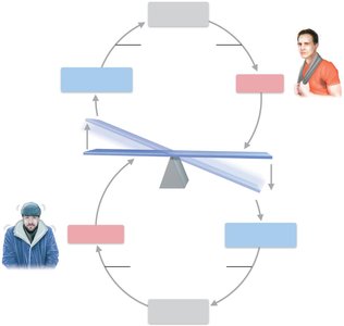 Negative feedback regulation of body temperature