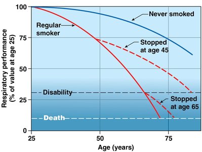 Decline in respiratory performance with age and smoking