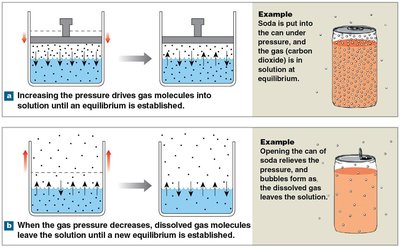 Gas pressure and solubility principles