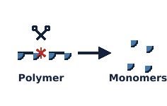 Polymer breakdown into monomers