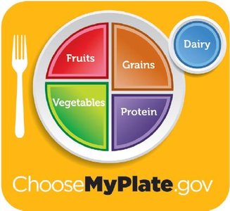 USDA MyPlate food guide