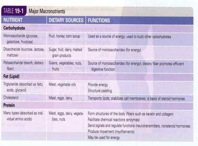 Table of major macronutrients